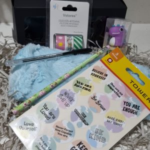 Blue Fluffy Stationary Box